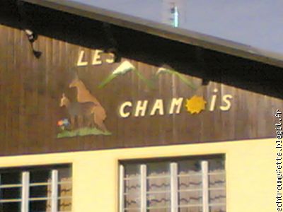 c t notre hotel , on sdemande  kes ki fon les chamois!!??